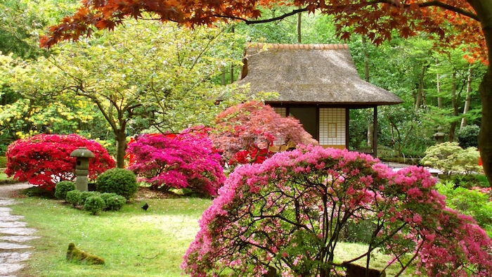 kleingarten gestalten, viele bäume, büsche mit rosa und roten blättern, gartenhaus, garten im asiatischem stil