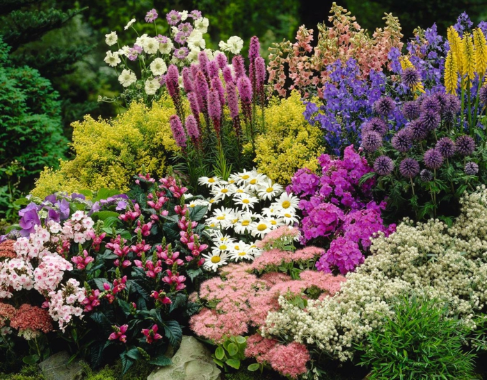ein Beet mit bunten Blumen, die zu einem pflegeleichten Garten gehören, Garten verschönern