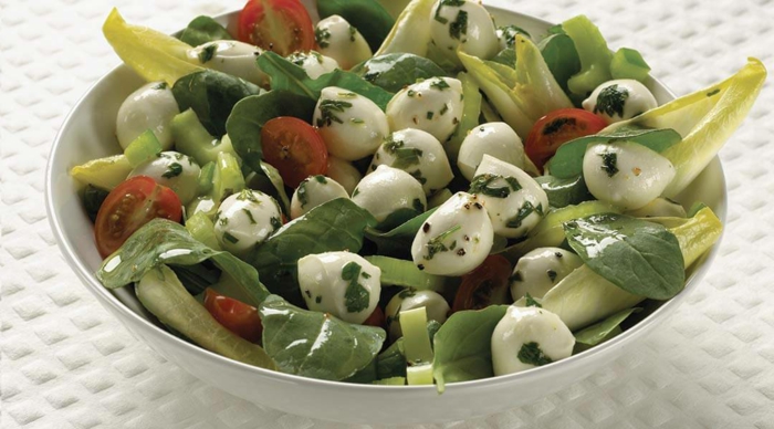 Grün von Salat, rote Tomaten Akzente, weißer Mozarella Käse, Petersilie