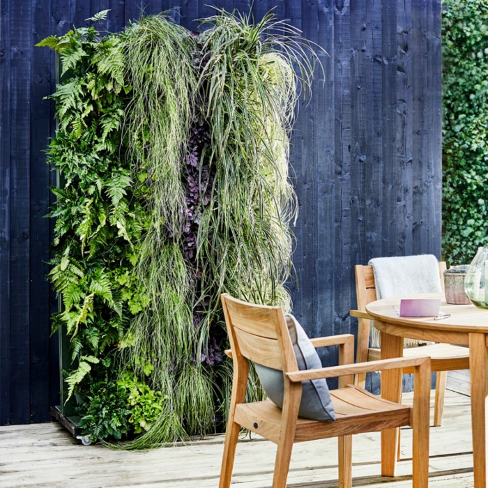 Stühle und Tisch aus Holz, ein vertikaler Garten mit Kletterpflanten an blauer Mauer, Terrassendiele