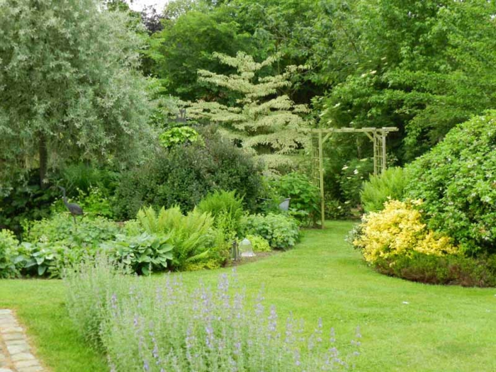ein Garten mit viel Grün, Ziersträuche, niedrige Bäume, lila und gelbe Blumen, Gartengestaltung Tipps