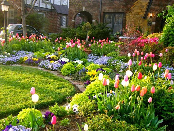 vorgarten deko, häuser, frühlingsblumen im garten, rosa tulpen, auto, blühende blumen