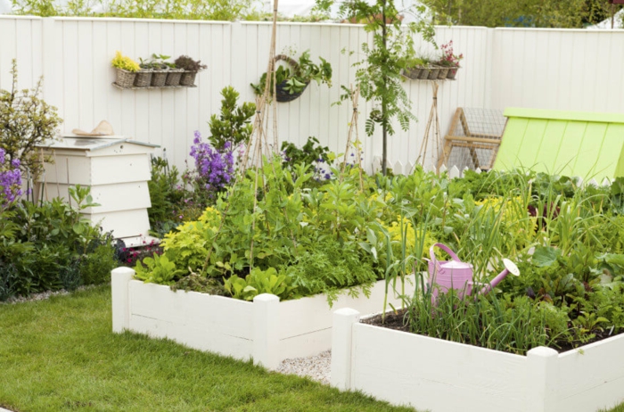 ein selbstversorger Garten mit viel Gemüse, rosa Gießkanne, weißer Sichtschutz mit Blumentopf als Dekoration