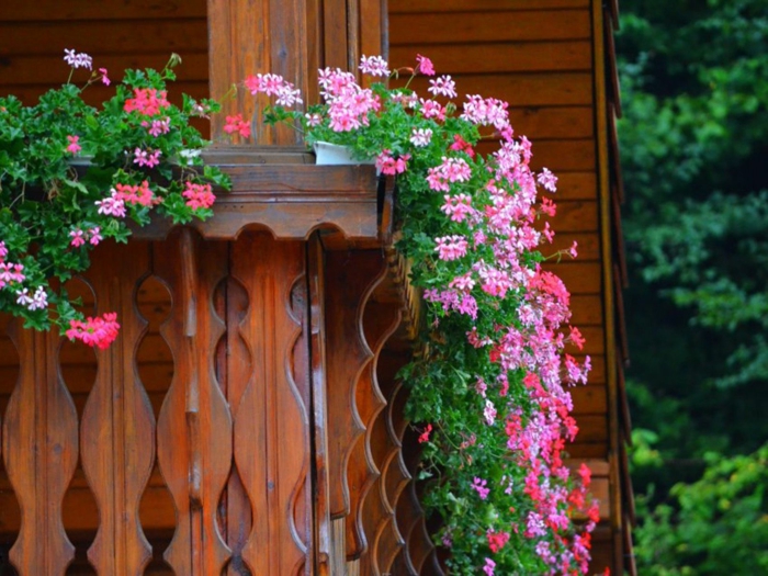 mit blumen den balkon dekorieren, schöne idee für hängende blumen, balkon verschönern, rosarote blumen pflanzen