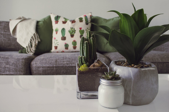 graues Sofa, grüne Kissen, weißer Tisch, Blumentöpfe, Wohnideen Wohnzimmer