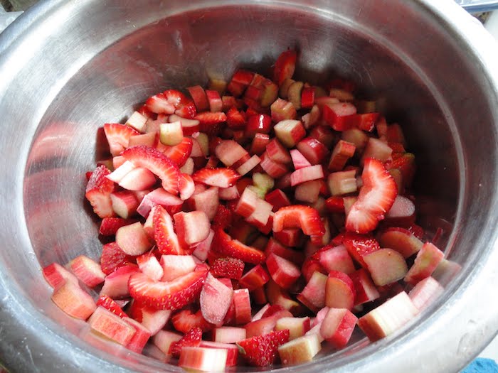 rezepte mit rhabarber und erdbeeren, ein teller mit vielen kleinen geschnittenen erdbeeren und rhabarber pflanzen