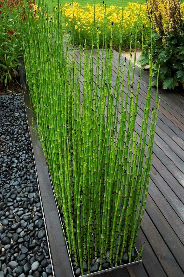 schöne ideen für landschaftsgarten mit bambus pflanzen, glück bringend, schwarzer kies, holzweg von der wohnung in den garten