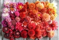 Blumengestecke selber machen: 120 Inspirationen zu jedem Anlass