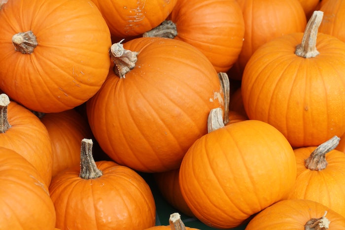viele kleine und große orange kürbisse, halloween deko selber bastelin ideen, einen halloween kürbis schnitzen