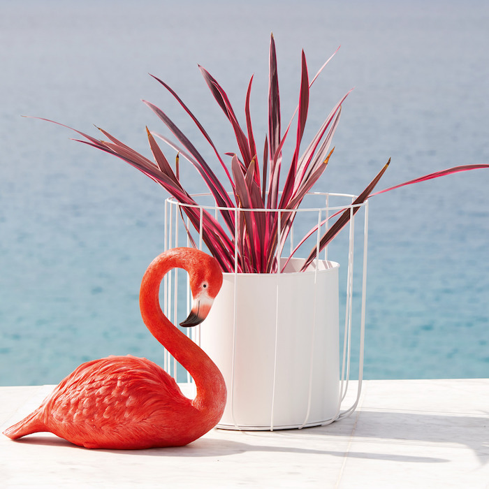 meer und ein weißer blumentopf mit einer roten pflanze und eine dekorative rote flamingo mit roten federn