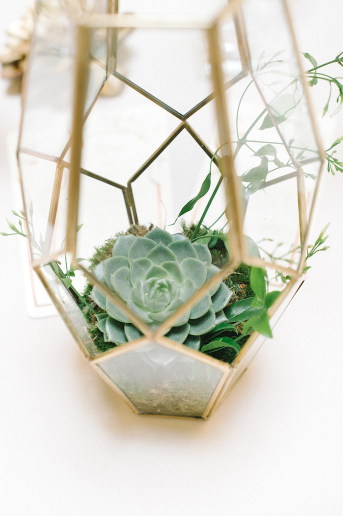 Echte Pflanzen in Glasgefäß, kreative und ausgefallene Deko Idee für Hochzeit