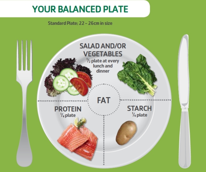 gesundes essen balanciert einnehmen, fette, proteine, salat und gemüse, kohlenhydrate, balancierte ernährungsweise
