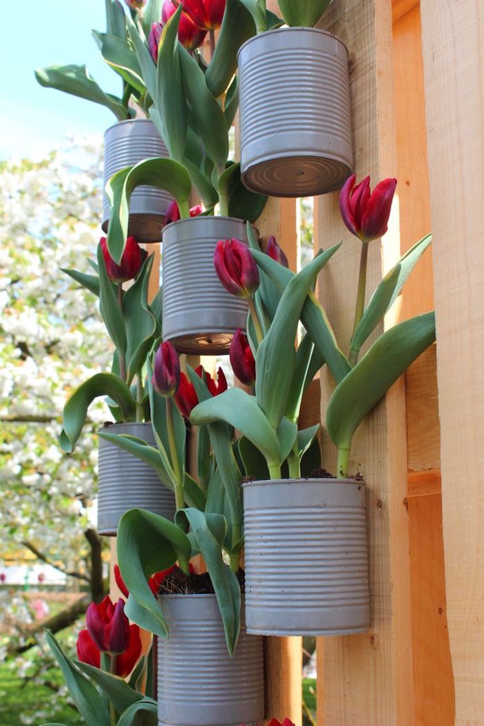 deko frühling, gartenzaun dekorieren, blumentöpfe aus konservendosen, rote tulpen