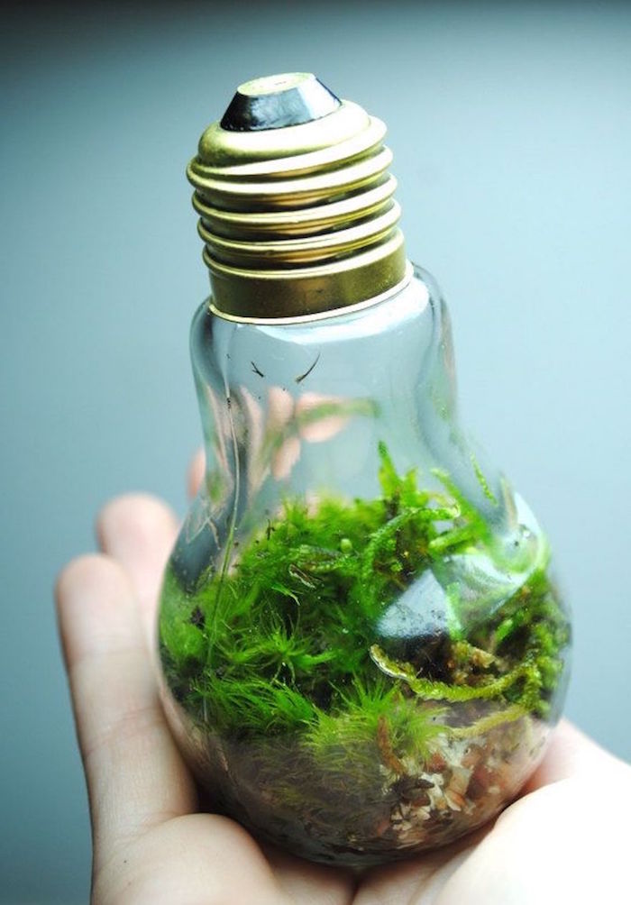 ein aquarium aus einer großen alten glühbirne und mit kleinen grünen pflanzen und eine hand, basteln recycling ideen