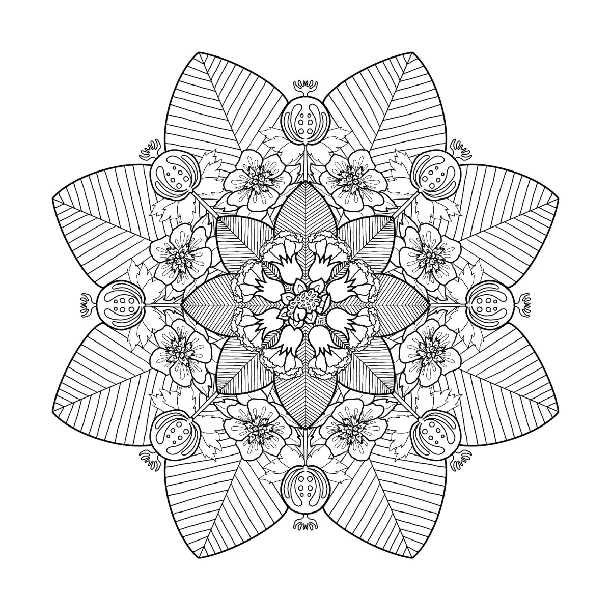 mandala blumen motiv ausmalbild für erwachsene