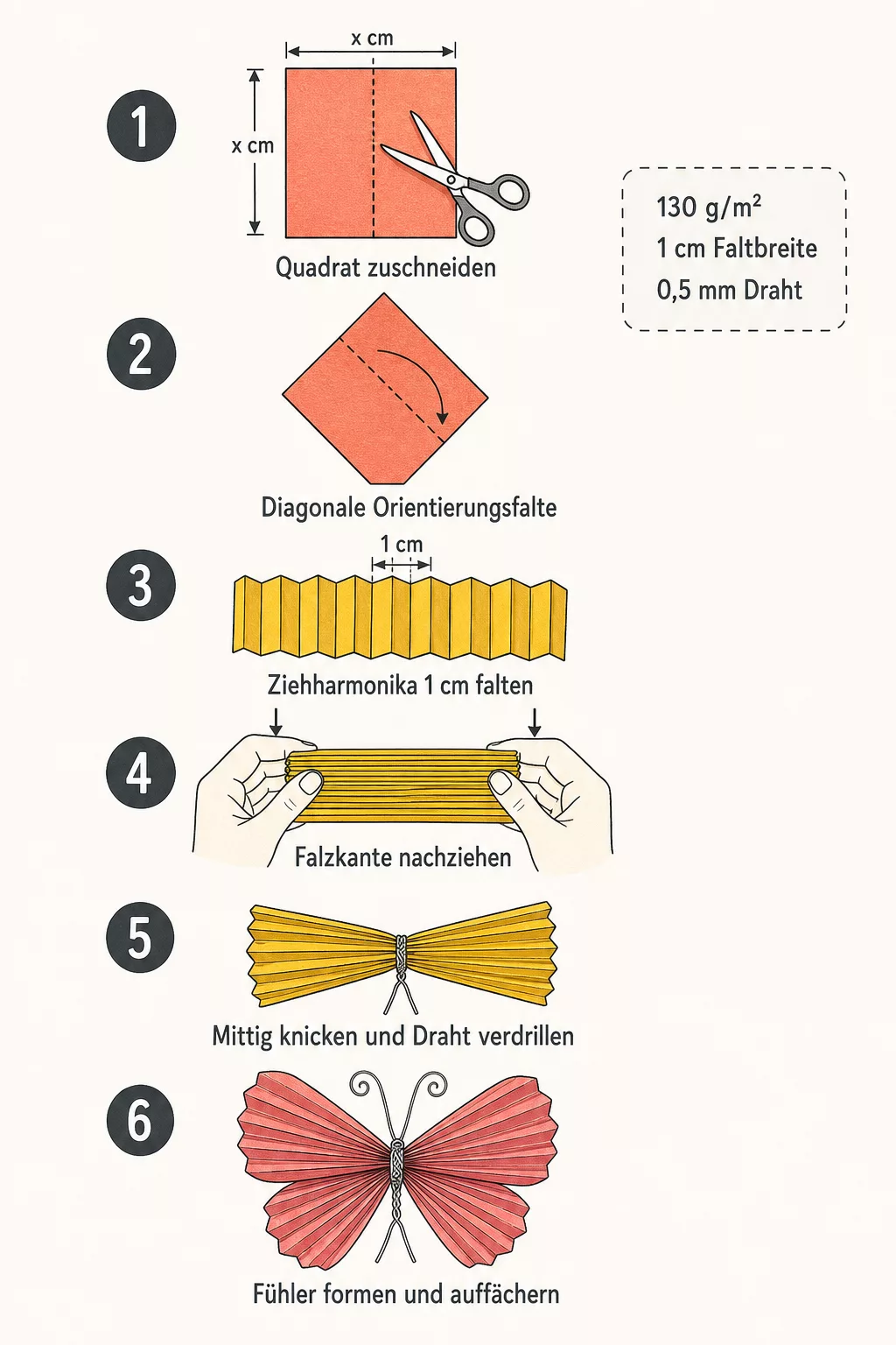Schritt-Infografik: Ziehharmonika-Schmetterling in sechs Etappen falten
