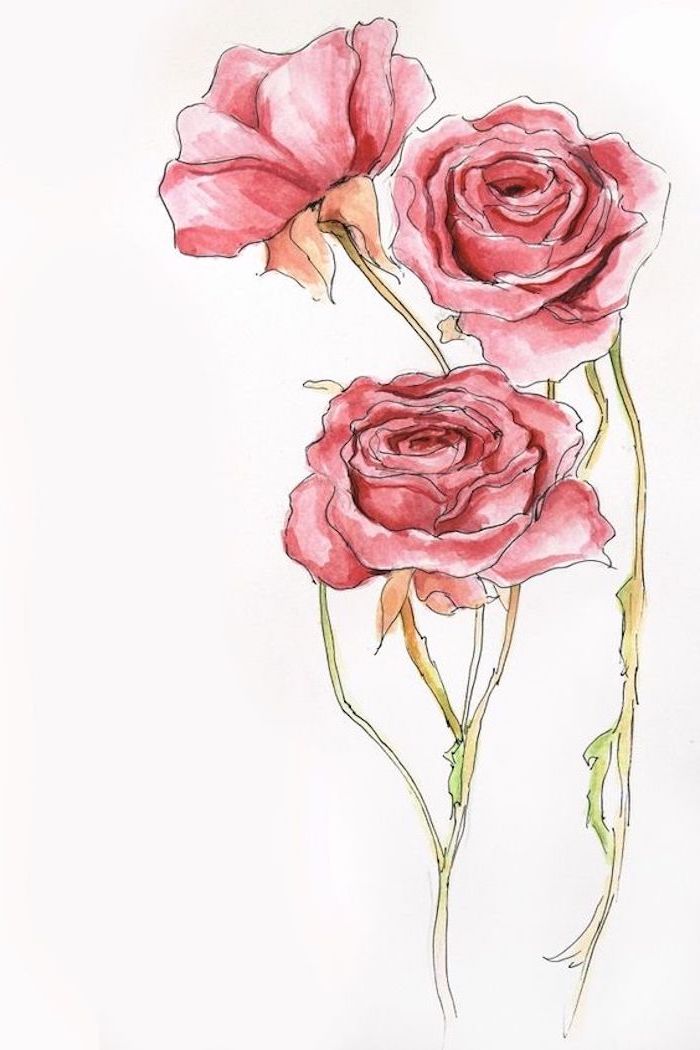 Blumen selber malen, drei rote Rosen zum Nachzeichnen, leichte Zeichnungen