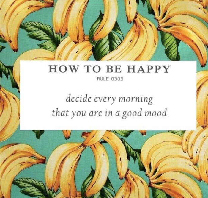 how to be happy, guten morgen bilder für whatsapp kostenlos, bild mit gelben bananen und vielen grünen blättern 