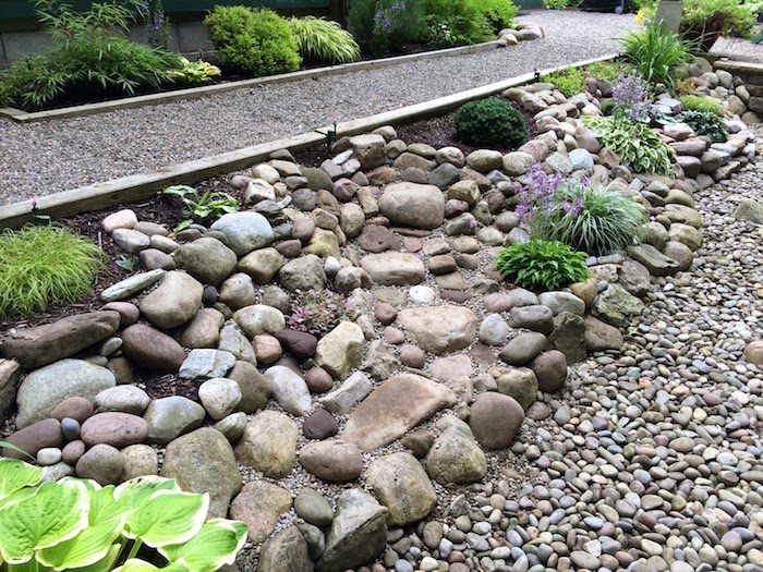grauer gartenweg mit kleinen grauen steinen, einen gartenweg anlegen, graue und brauen kleine steine und violette blumen, sukkulenten im steingarten 