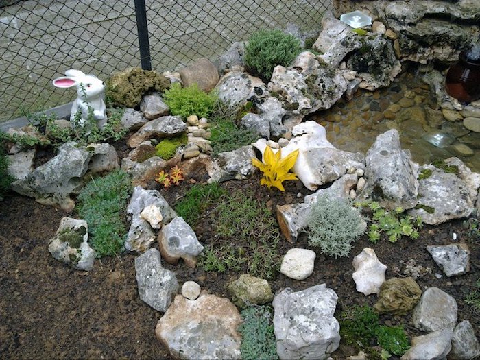 kleiner weißer hase, eine dekorative gartenfigur im kleinen steingarten mit grauen steinen und gelben blumen und grünen sukkulenten