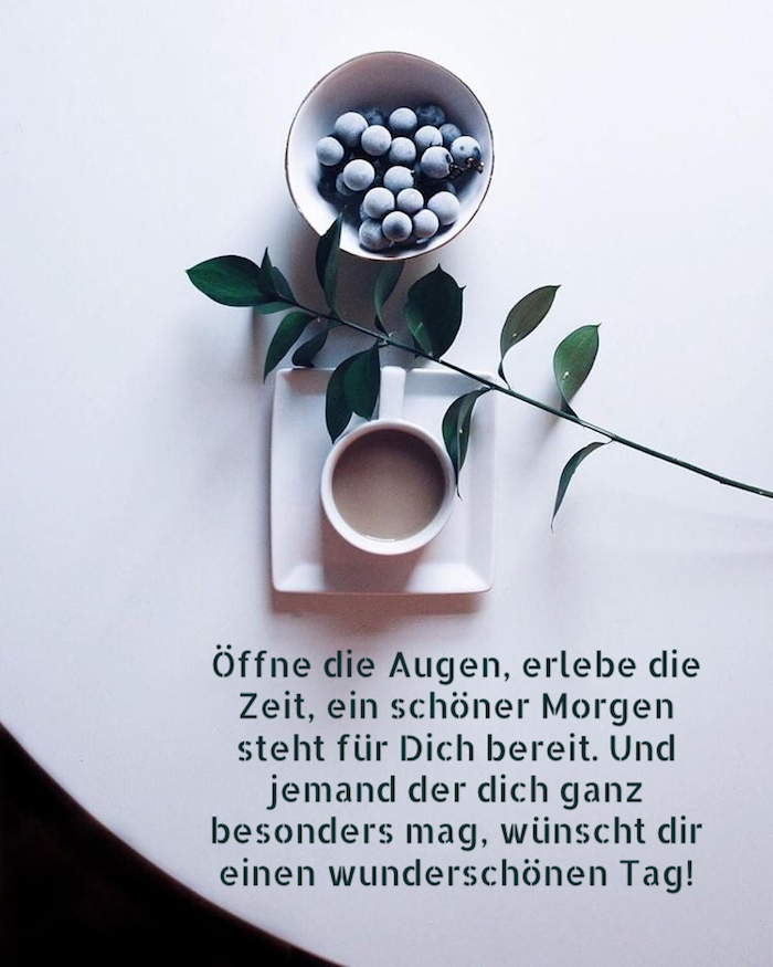 eine pflanze mit grünen blättern, eine weiße tasse mit kaffe und teller mit blaubeeren, guten morgen bilder fürs handy