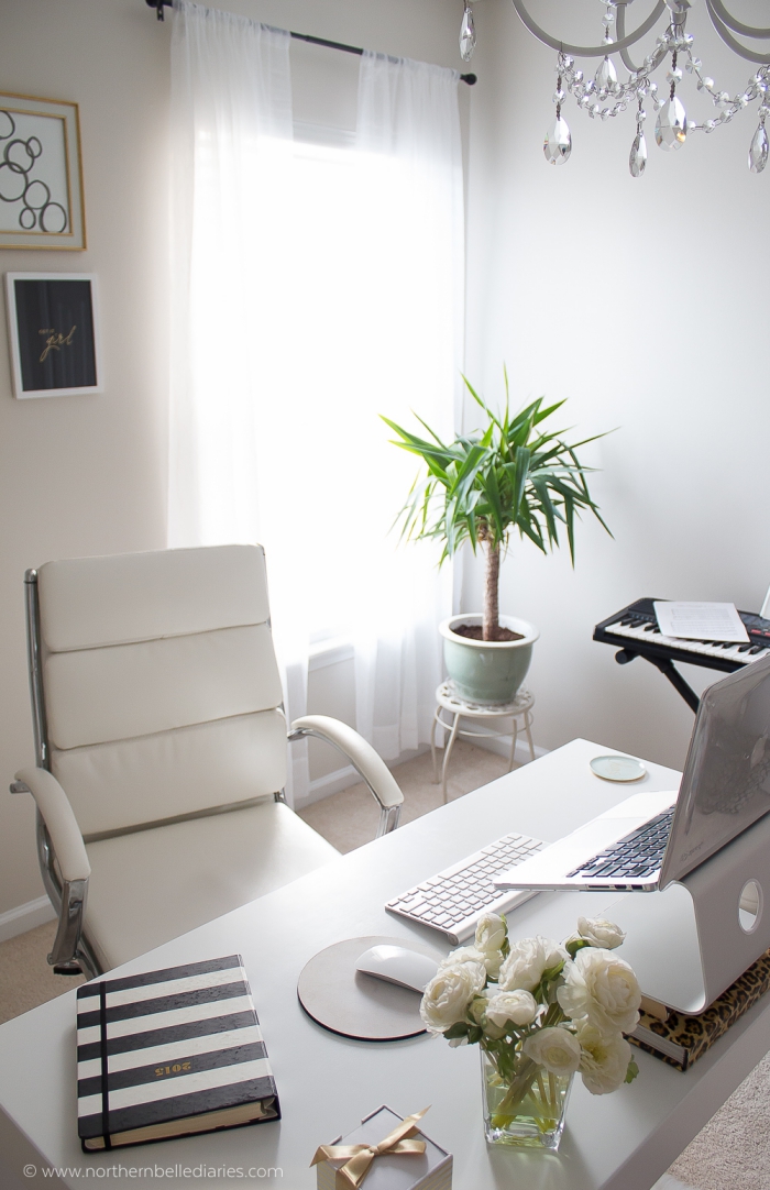 kleines zimmer einrichten, grüne pflanze, büro dekoration, weißer bürostuhl mit leder