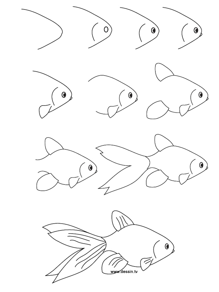 Wie zeichnet man einen Fisch, Anleitung in zehn Schritten für Kinder, leichte Zeichnung 