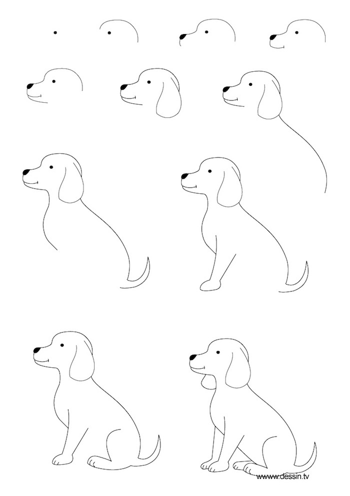 Wie zeichnet man einen Hund, ausführliche Anleitung in elf Schritten, leichte Zeichnung für Kinder