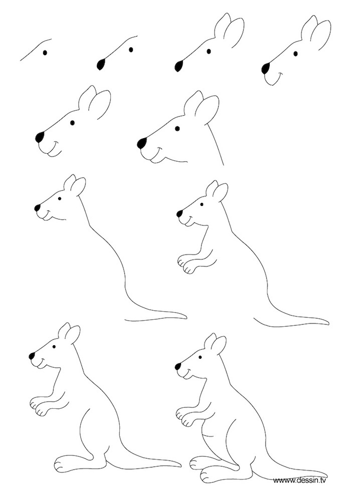 Wie zeichnet man ein Känguru, Anleitung in zehn Schritten für Anfänger, leichte Zeichnungen zum Nachmalen