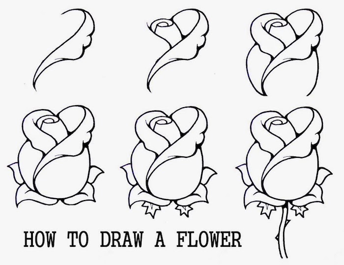 Wie zeichnet man eine Blume, Rose zeichnen in sechs Schritten, leichte Zeichnungen für Anfänger