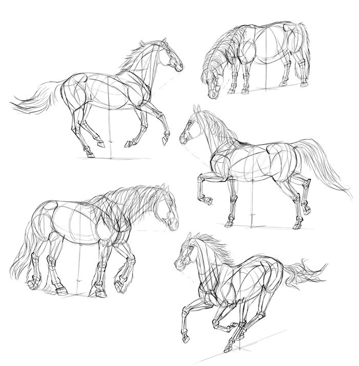 Wie zeichnet man ein Pferd, Anleitungen für Anfänger, schöne Bilder zum Nachmalen