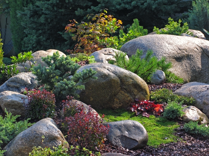 große und kleine graue steine und kiefer und rote blätter, pflanzen für steingarten, eine steingarten deko