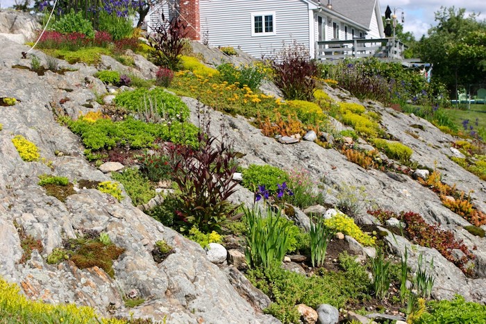gartengestaltung kleine gärten, ein weißes haus mit kleinem steingarten mit violetten und gelben blumen und sukkulenten pflanzen für steingarten