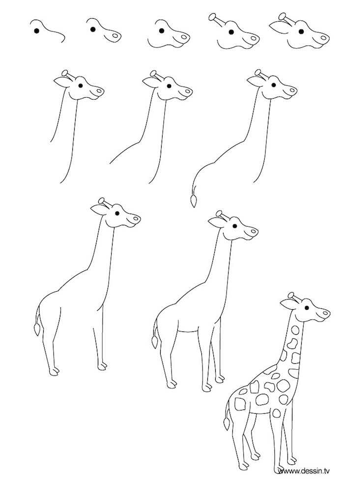 So zeichnet man eine Giraffe, Anleitung in elf Schritten für Anfänger, Zeichnen mit Bleistift