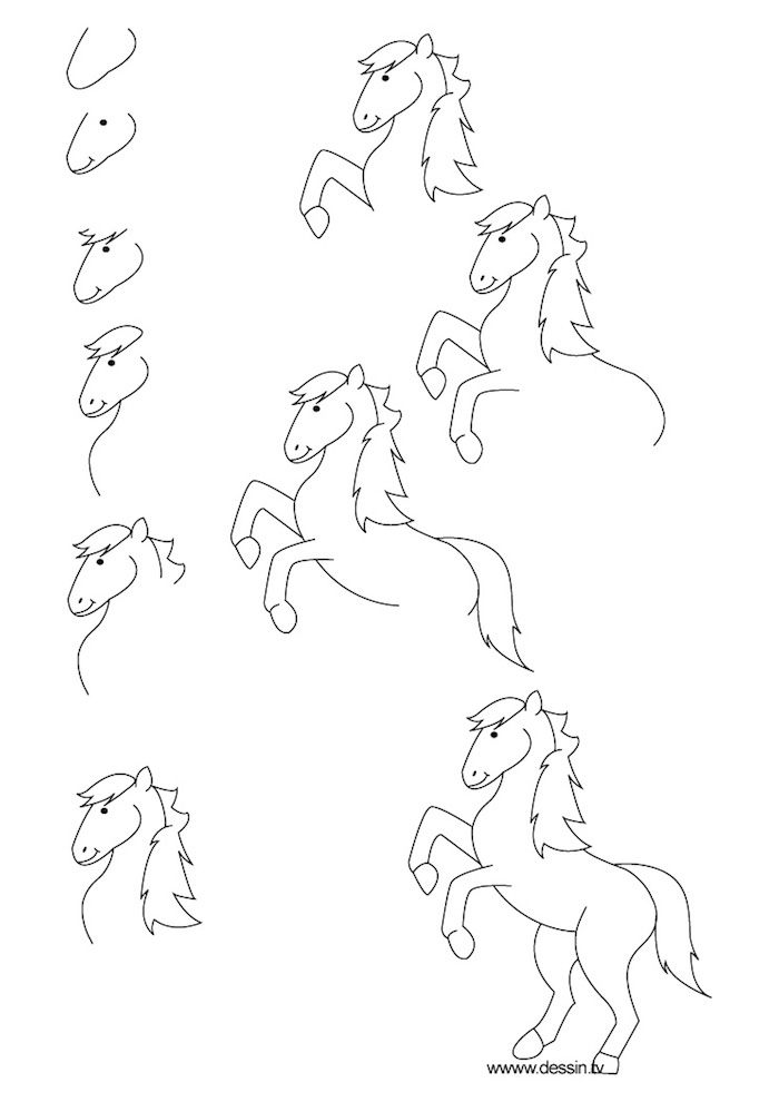 Wie zeichnet man ein Pferd, Anleitung in zehn Schritten für Anfänger, Schritt für Schritt Pferd zeichnen