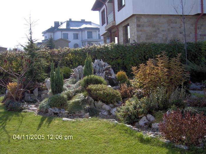 ein zaun sichzschutz aus grünen kletterpflanzen und ein grüner rasen, zwei häuser und ein kleiner steingarten mit grauen steinen und grünen pflanzen und sukkulenten