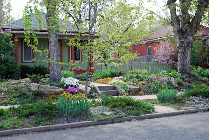 baum vorgarten ideen, haus mit einem kleinen vorgarten mit grauen steinen und weißen und violetten und gelben blumen und ein gartenweg mit treppen, vorgarten gestalten ideen 