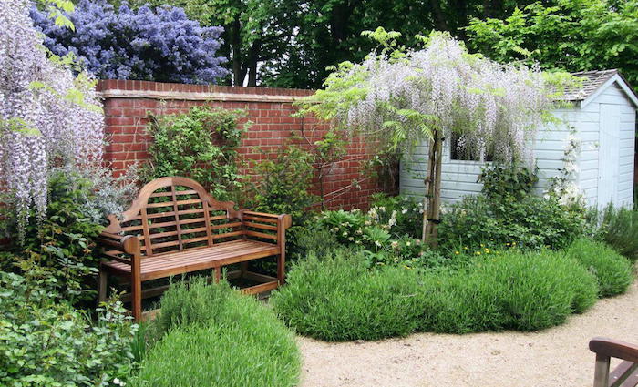 kleine braune bank in einem vorgarten mit violetten vorgarten bäumen und grünen pflanzen und ein kleines weißes haus aus holz