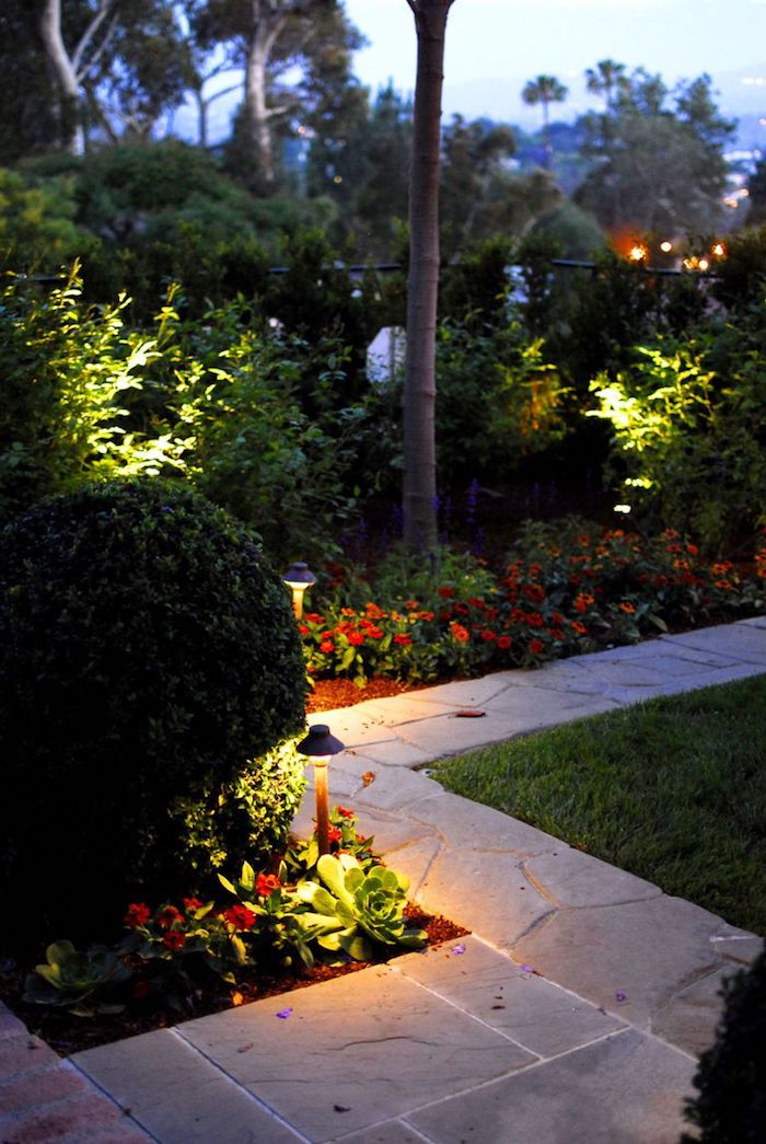 ein vorgarten baum und grüne pflanzen und kleine orange blumen im vorgarten, einen gartenweg anlegen