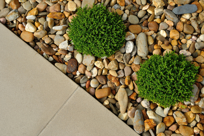  kleine beige und graue steine und zwei grüne pflanzen mit grünen blättern und ein boden aus fliesen, vorgarten gestalten ideen
