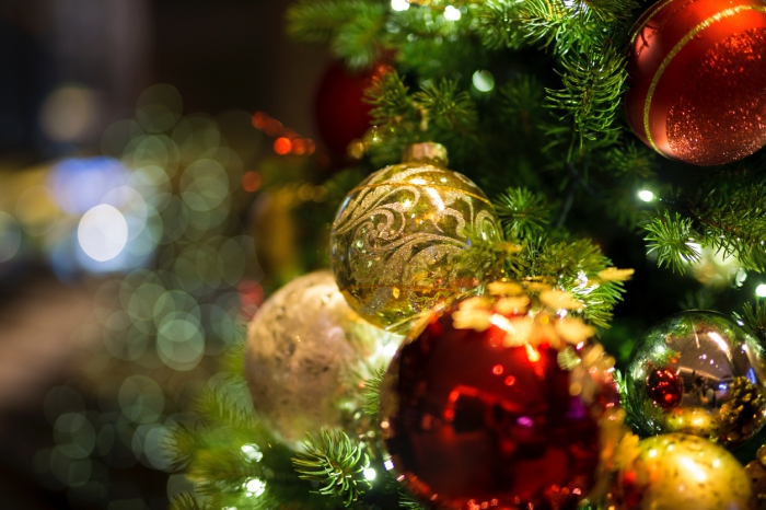 Weihnachtsbaum kaufen: Hilfreiche Tipps, wie Sie den perfekten Baum ...