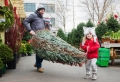 Weihnachtsbaum kaufen: Hilfreiche Tipps, wie Sie den perfekten Baum finden!