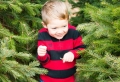 Weihnachtsbaum kaufen: Hilfreiche Tipps, wie Sie den perfekten Baum finden!
