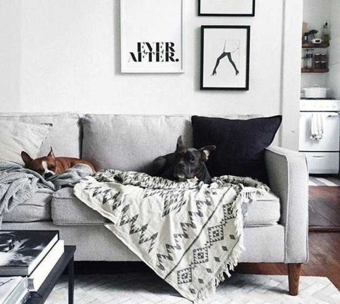 ein graues Sofa, ein schwarzes Kissen, ein weißer Teppich, Wohnzimmer Ideen Weiß Grau