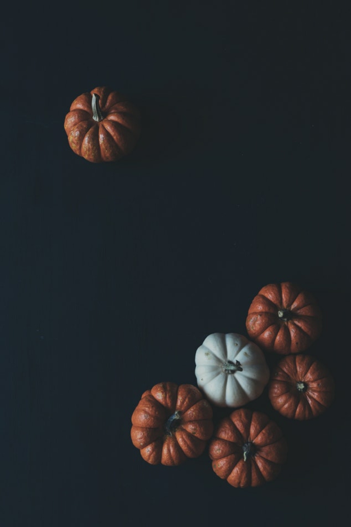 hintergrundbilder kostenlos zum halloween, kürbis sorten orange weiß kürbisse auf schwarzem hintergrund