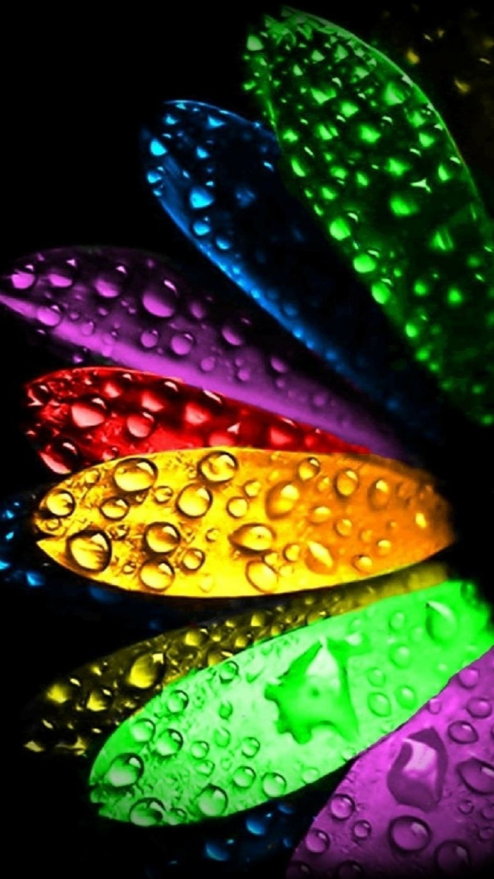 bunte Kronblätter mit Regentropfen bedeckt, coole Hintergrundbilder in vielen Farben, schwarzer Hintergrund