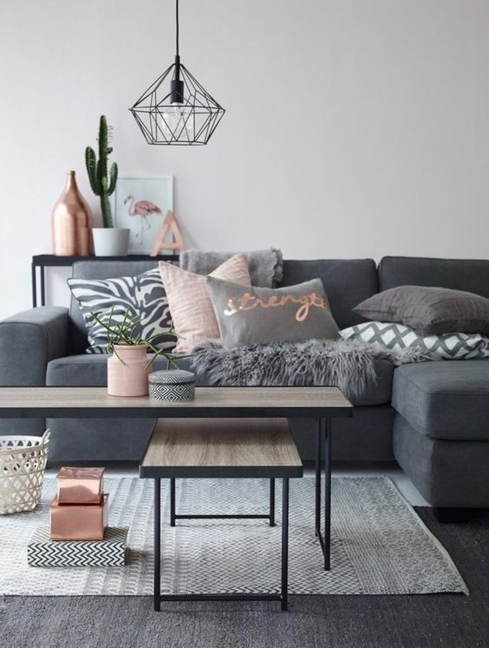 wandgestaltung wohnzimmer, grau rosa, wohnraum licht kakrus blume, vase, teppich