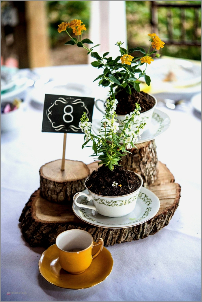 zwei Teetassen voller Boden, Blumen Tischdeko im Glas, winzige Blümchen, rustikale Tischdeko