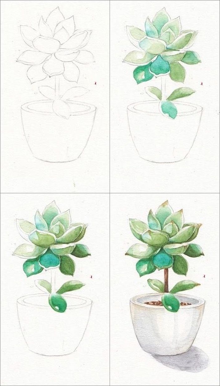 Pflanze in Blumentopf zeichnen lernen, Anleitung in vier Schritten, zeichnen lernen Schritt für Schritt 