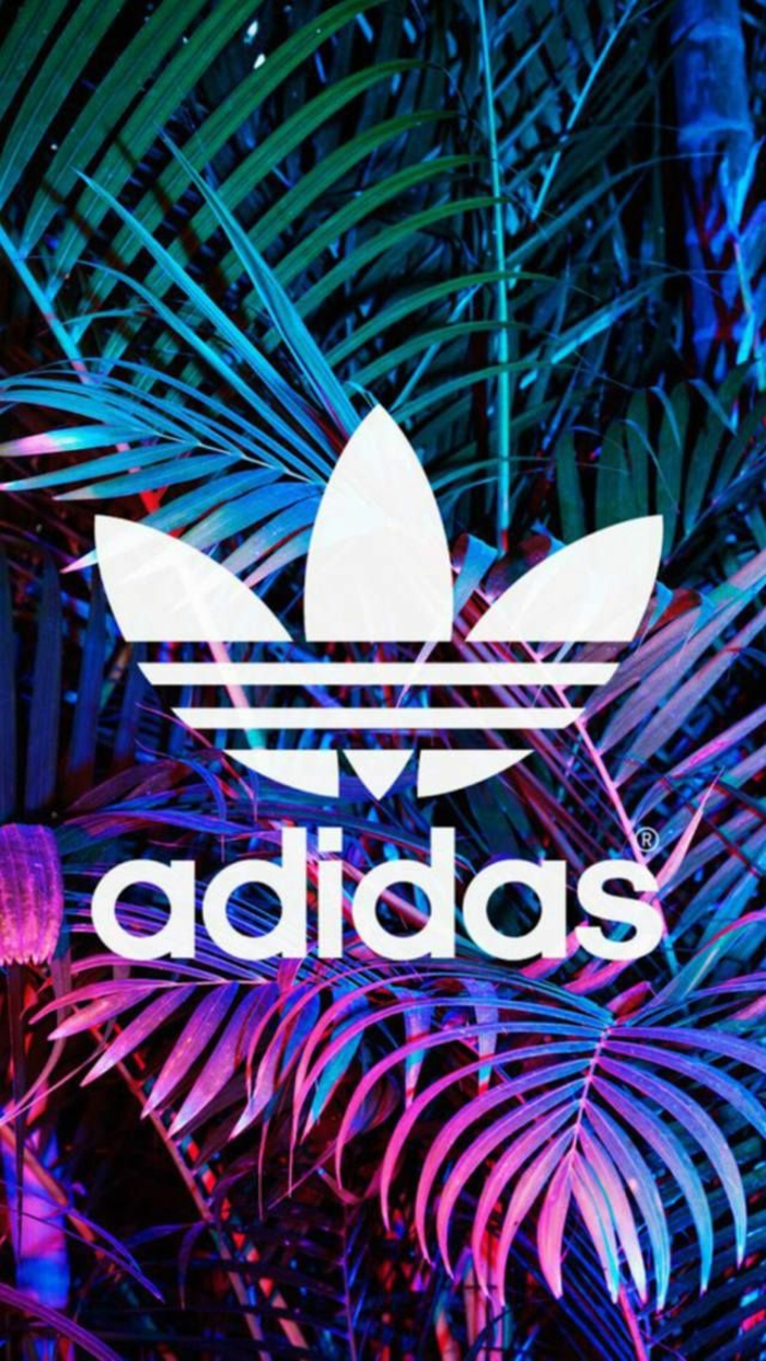hintergründe kostenlos, adidas logo, bild weiß auf buntem hintergrund, rosa, lila grün